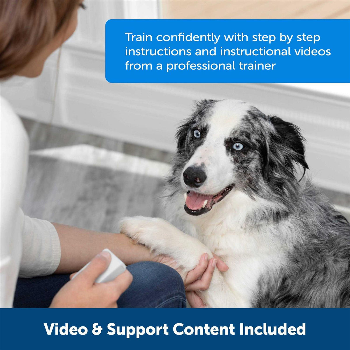 Remote Reward Trainer M882719