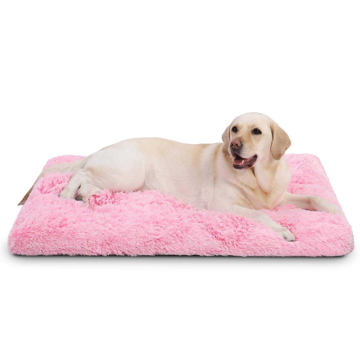 Washable Dog Crate Bed X814655