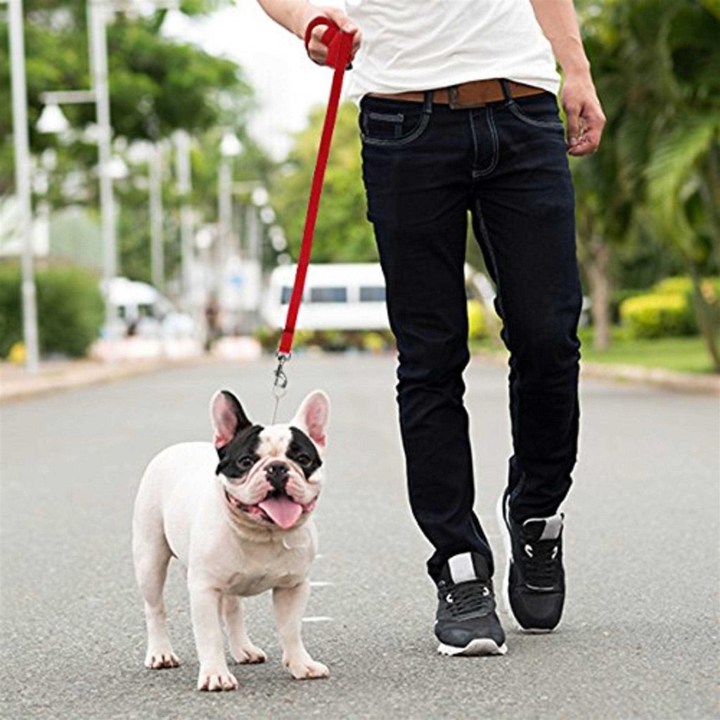 Long Lead Dog Leash E5599