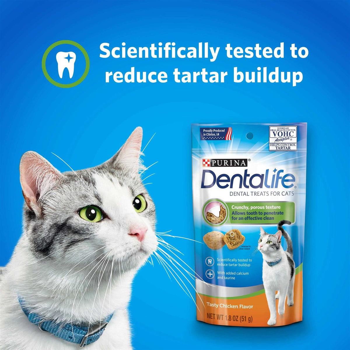 Cat Dental Treats A9970