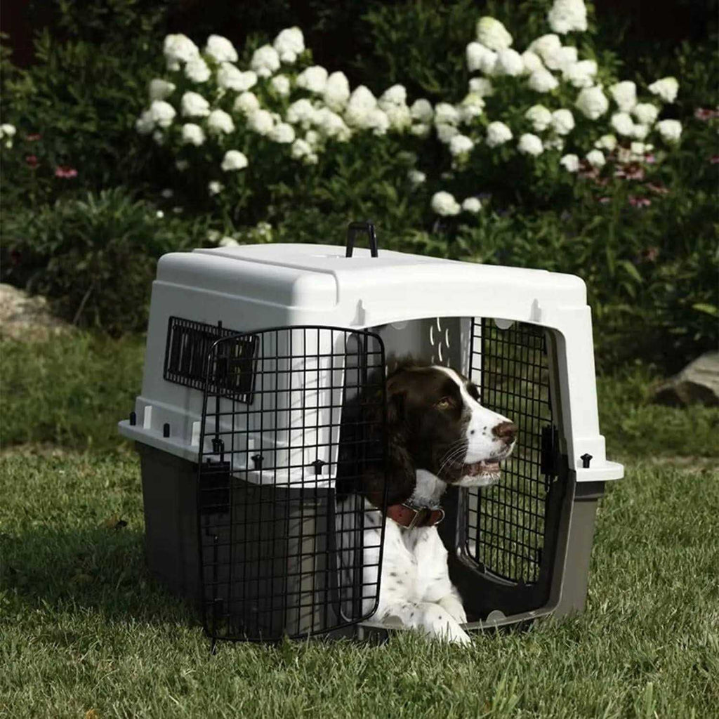 Plastic Pet Crate U22497