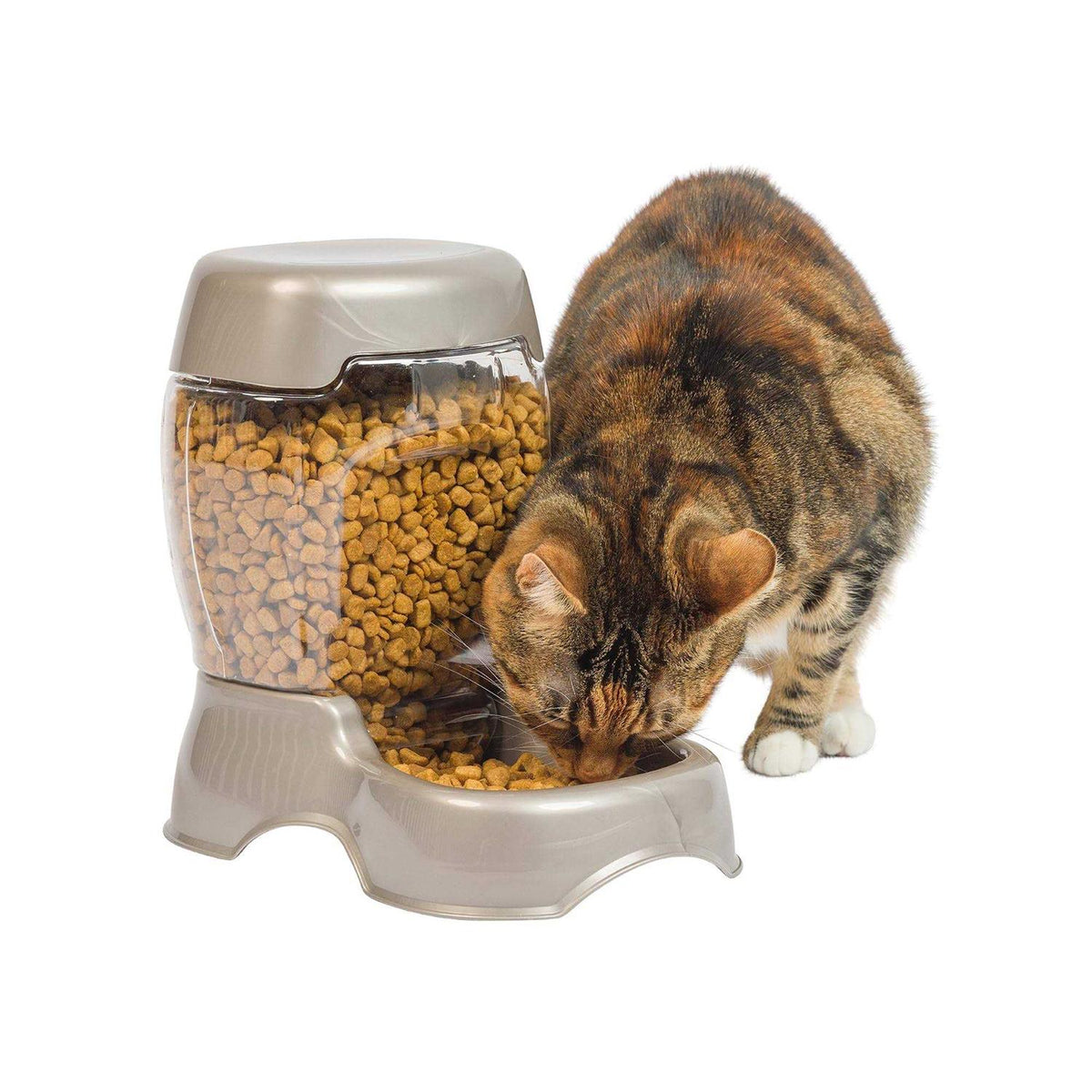 Pet Feeder T130166