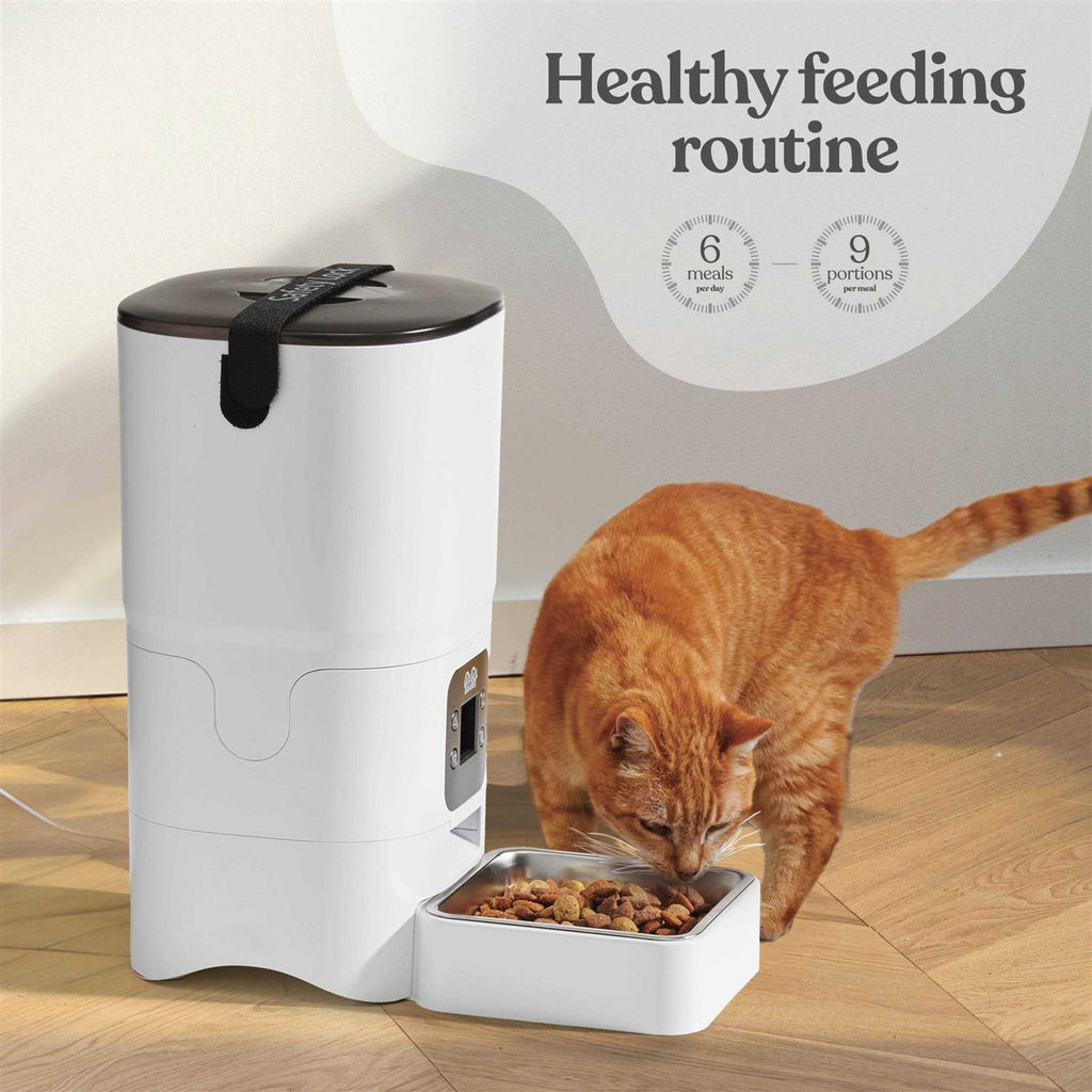 6-L Automatic Cat Food Dispenser with LCD Screen X264874
