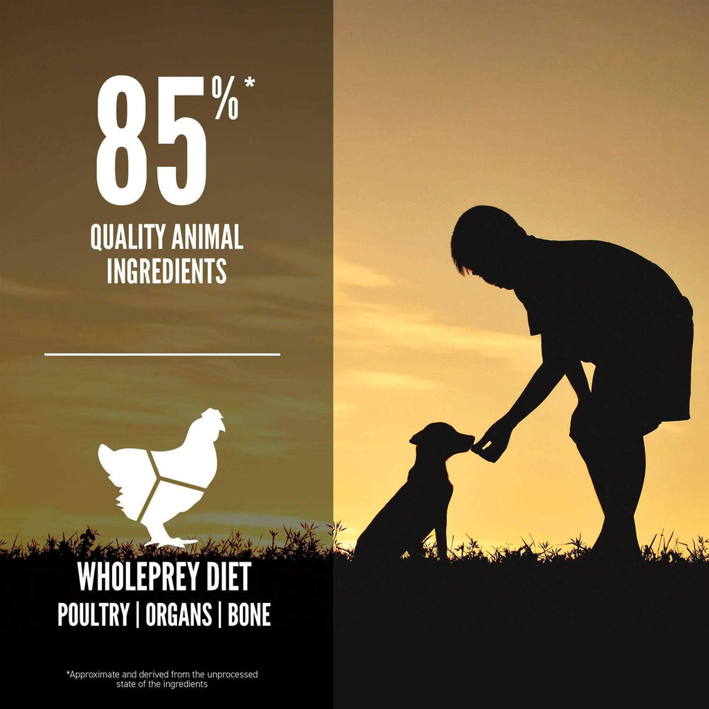 Large Breed Dry Dog Food E366287
