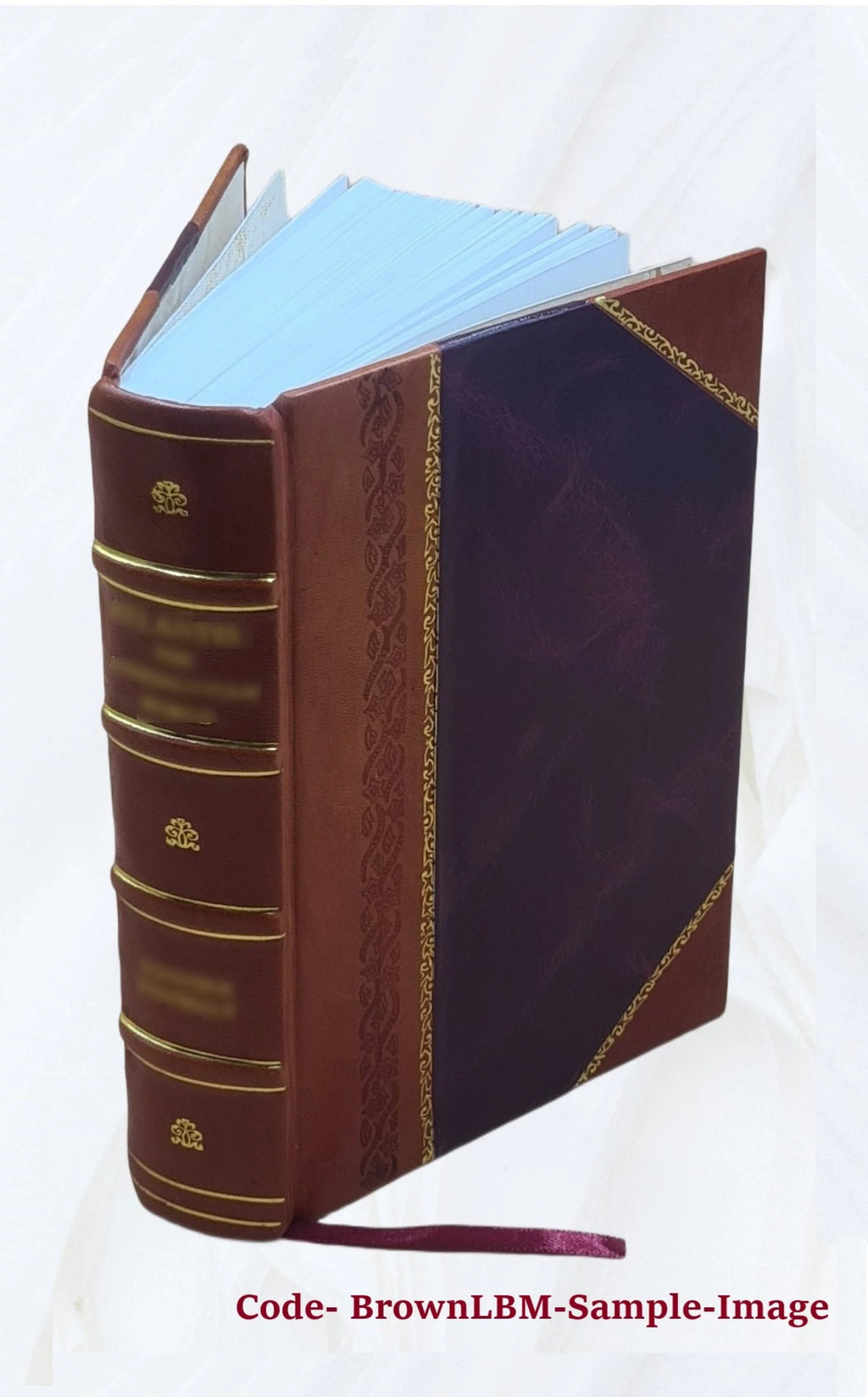 Records of the governor and company of the Massachusetts bay in New England Leather Bound M722