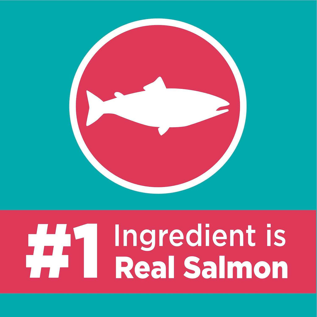 Salmon Adult Dry Cat Food W3240