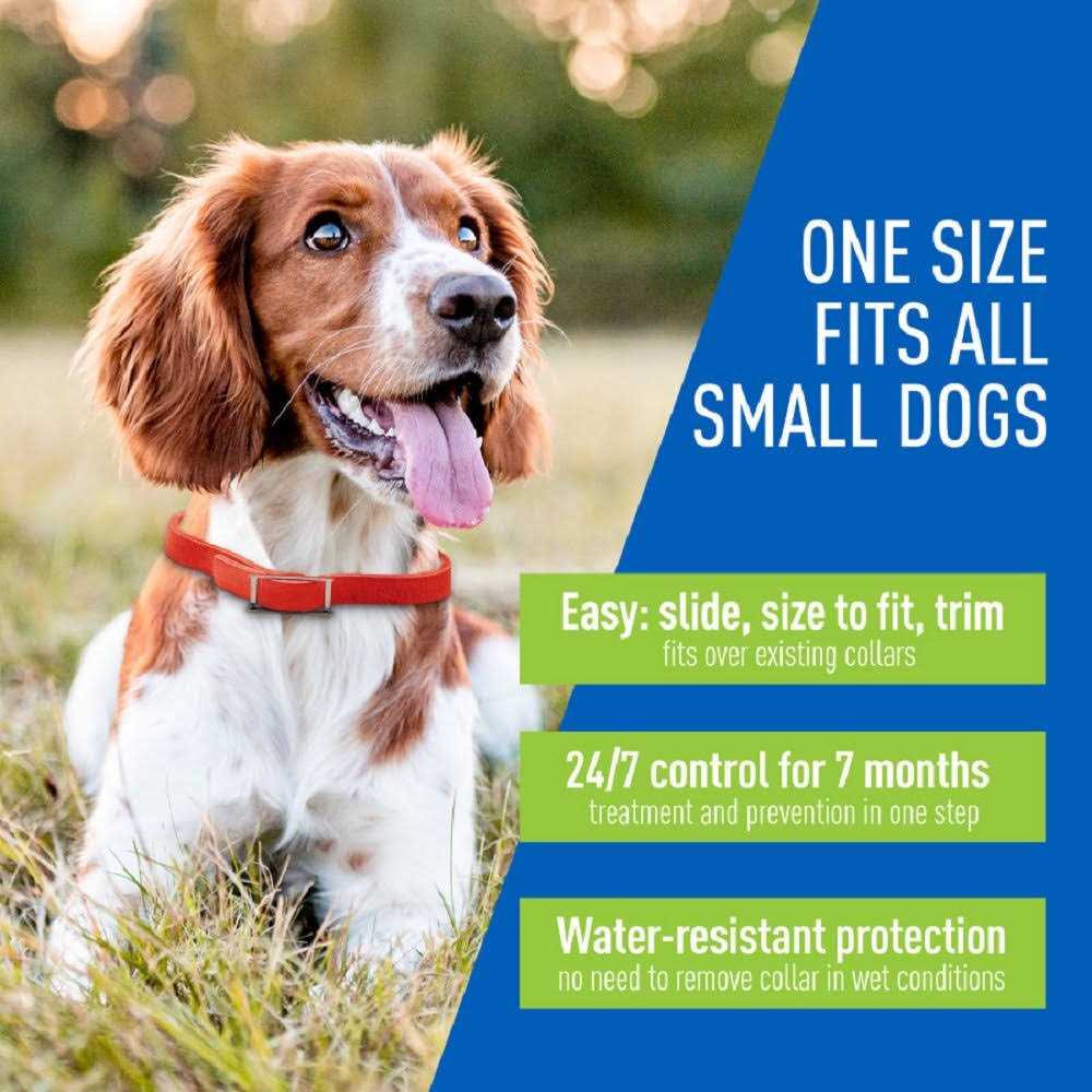 Flea & Tick Collar for Dogs U36565