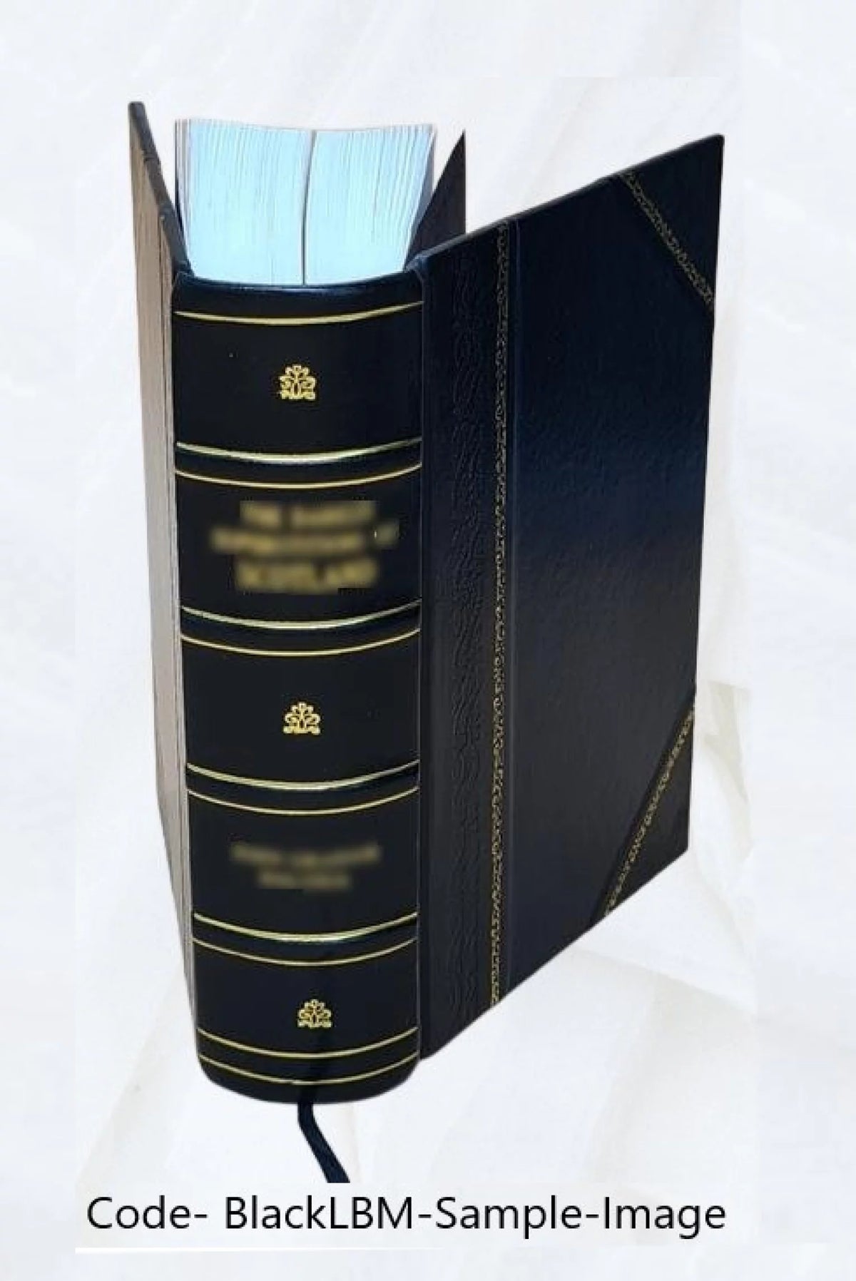Records of the governor and company of the Massachusetts bay in New England Leather Bound M722