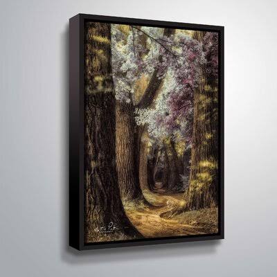 Canora Grey Framed Print F3992
