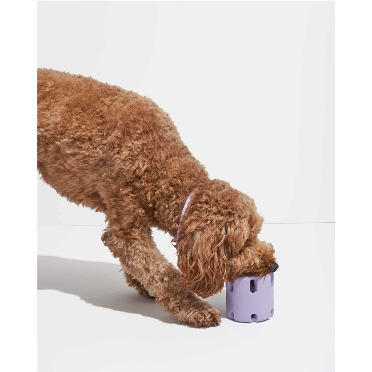 Dog Toy U51073
