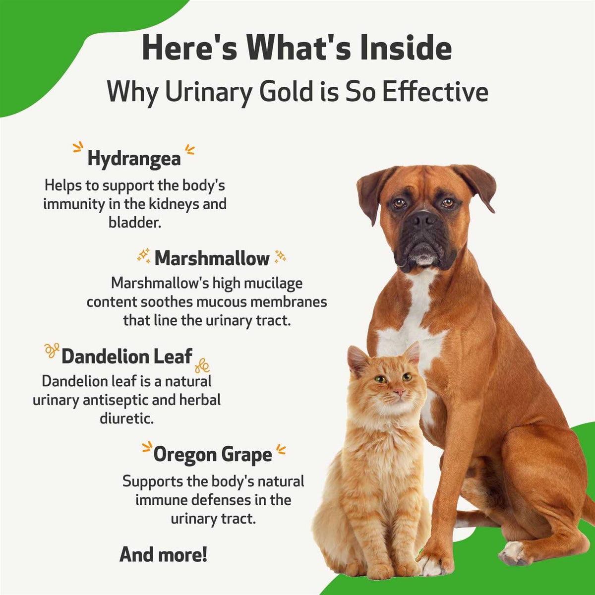 Urinary Tract Health Pet Supplies F263297