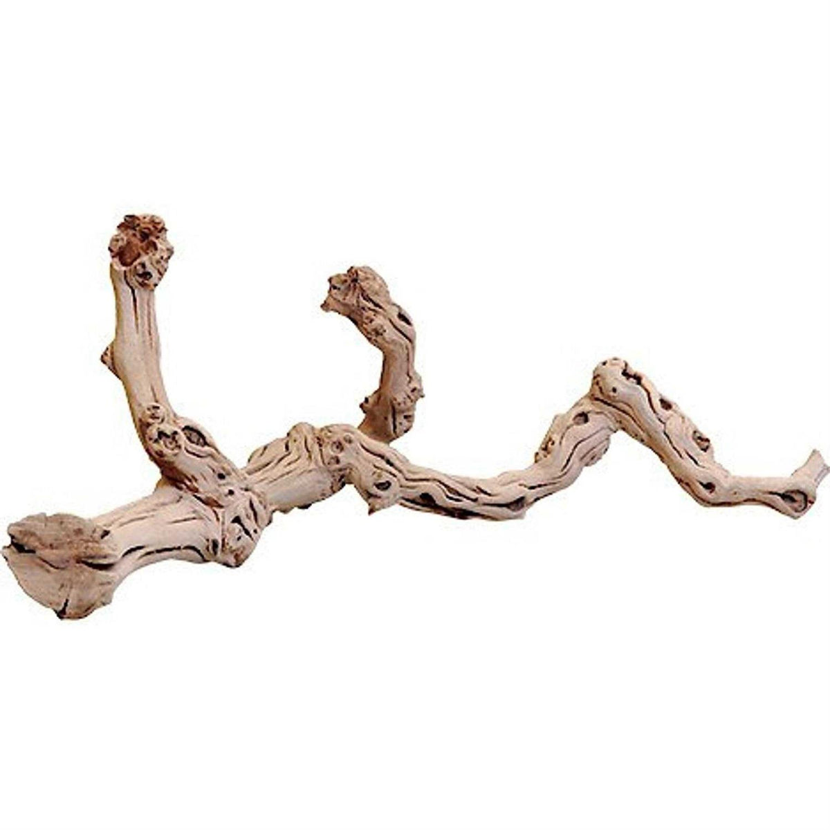 Sand Blasted Grape Vine D32410