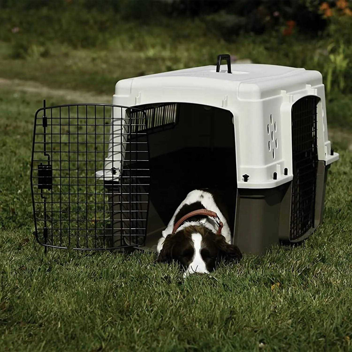 Plastic Pet Crate U22497