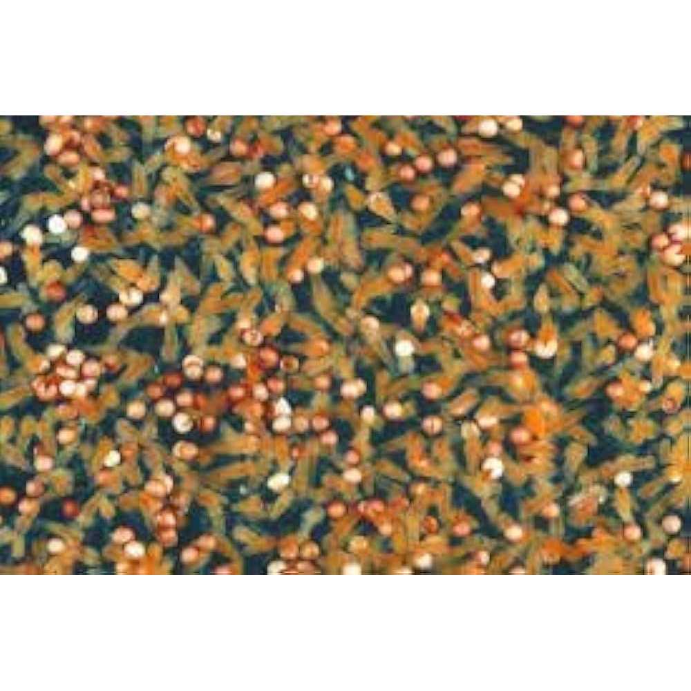 Brine Shrimp Eggs 90% Hatch R20368