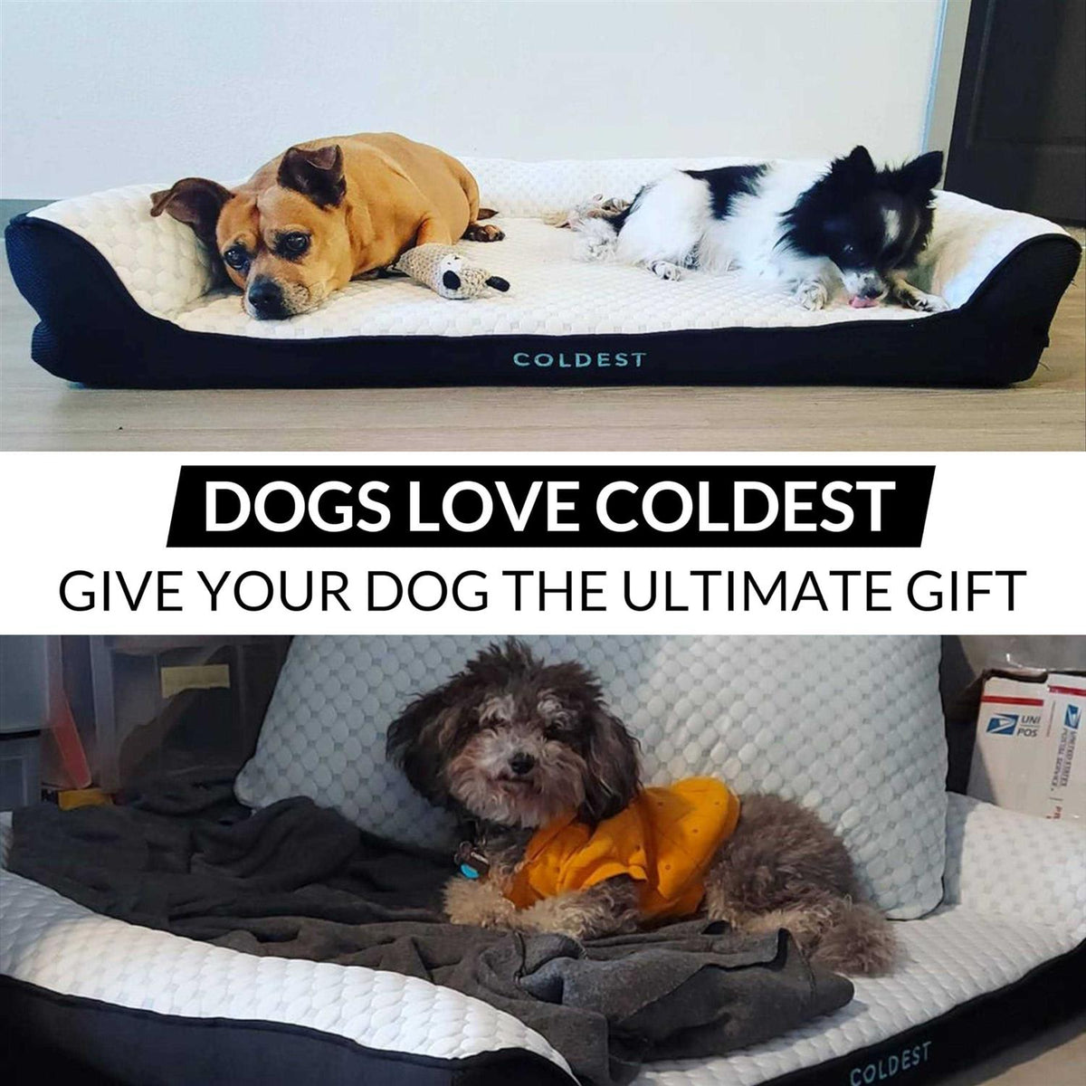 Cozy Cooling Dog Bed K1760