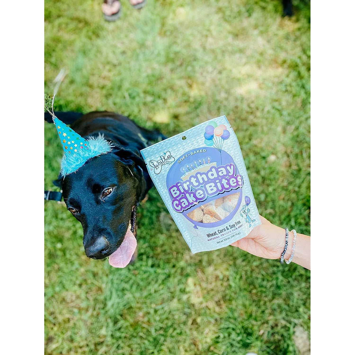 Birthday Cake Bites Dog Treats D38781
