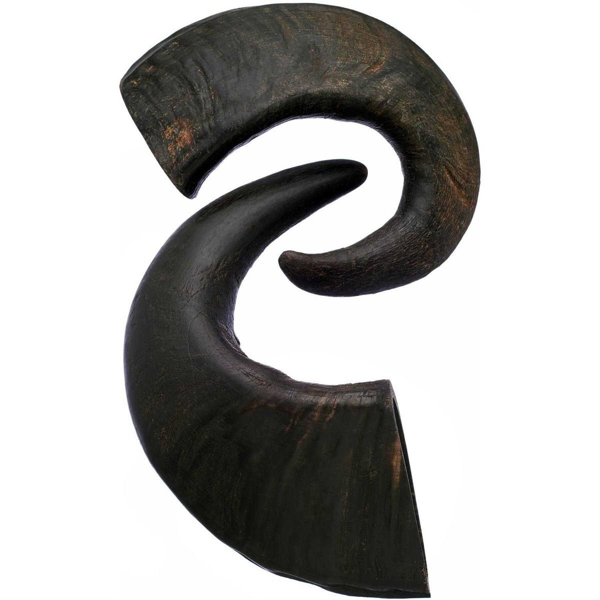 Water Buffalo Horn Dog Treat S6041