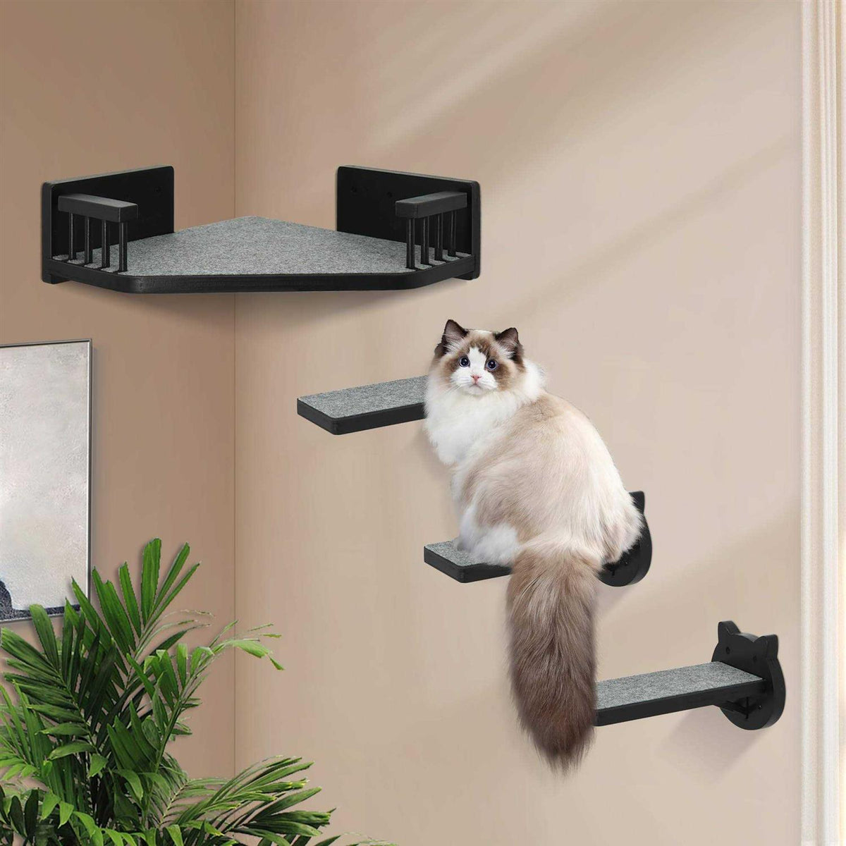 Cat Wall Shelves with 3 Steps Z869