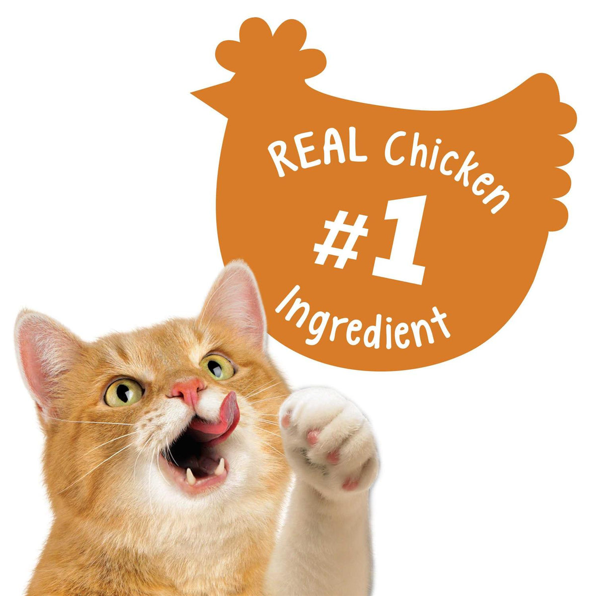 Cat Treats Chicken B904