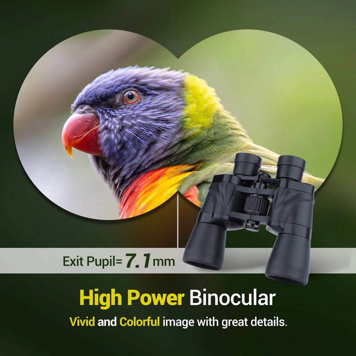 20x50 HD Binoculars with FMC BAK4 Prism Lens U2305