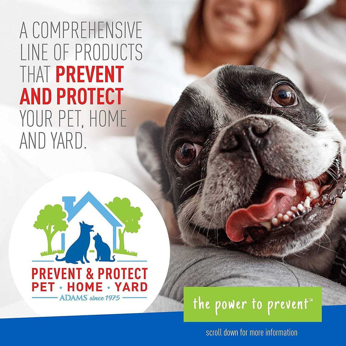 Flea & Tick Collar for Dogs U36565