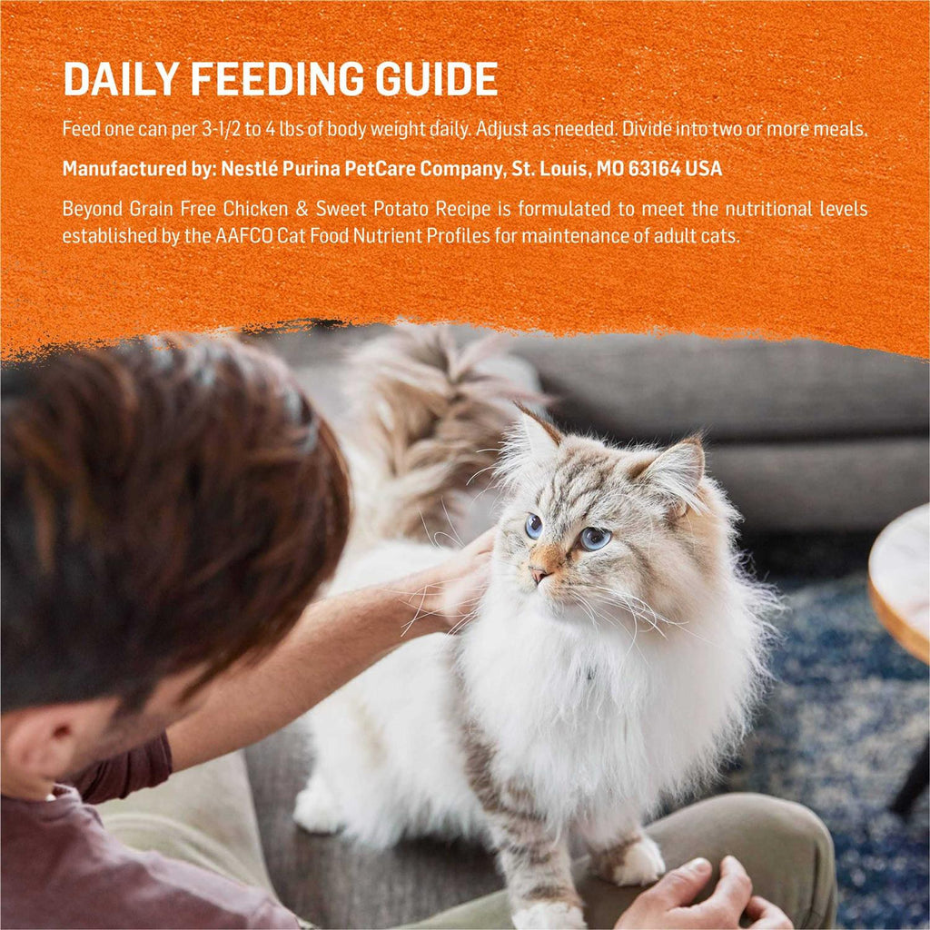 Grain-Free Wet Cat Food R100