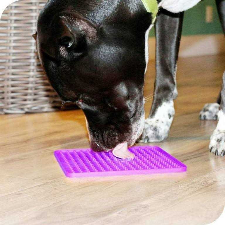 Puppy Starter Kit Dog Toys Dog Bed Blankets Grooming Tool Z253