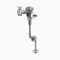 Royal Manual Flushometer Z306135