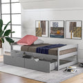 Twin Size Platform Bed with Two Drawers Grey J75278