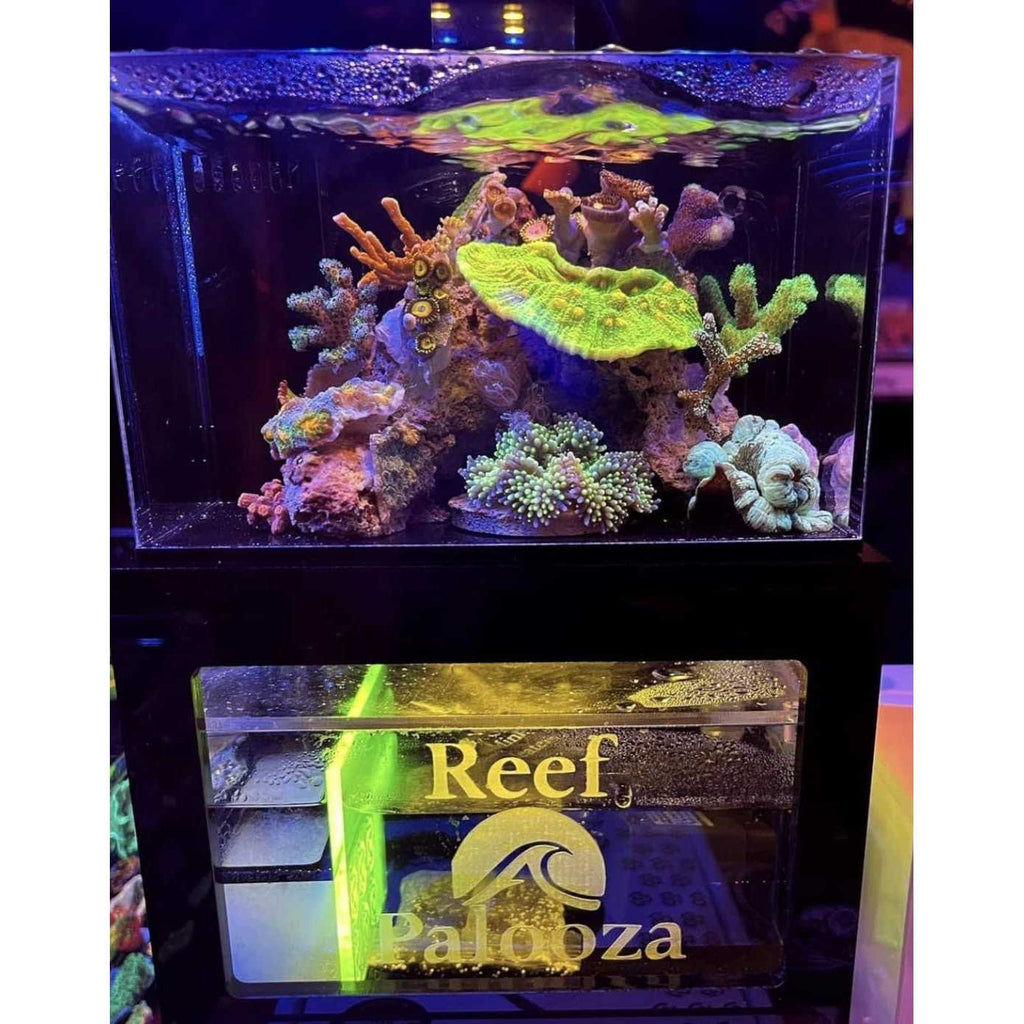 40oz Desktop Aquarium X71609