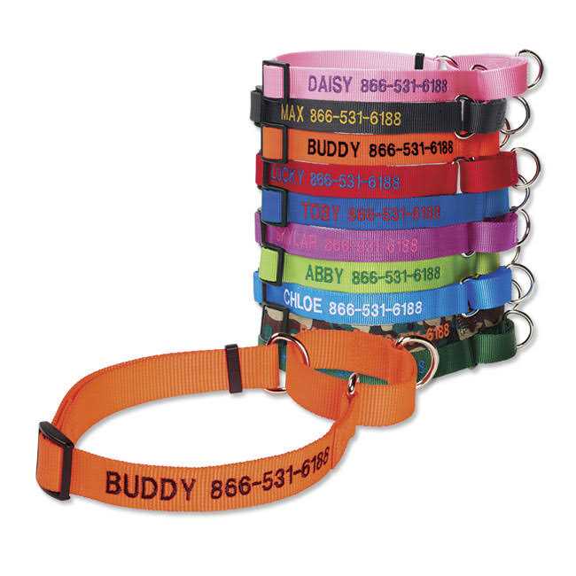 Dog’S Martingale Collar N387226