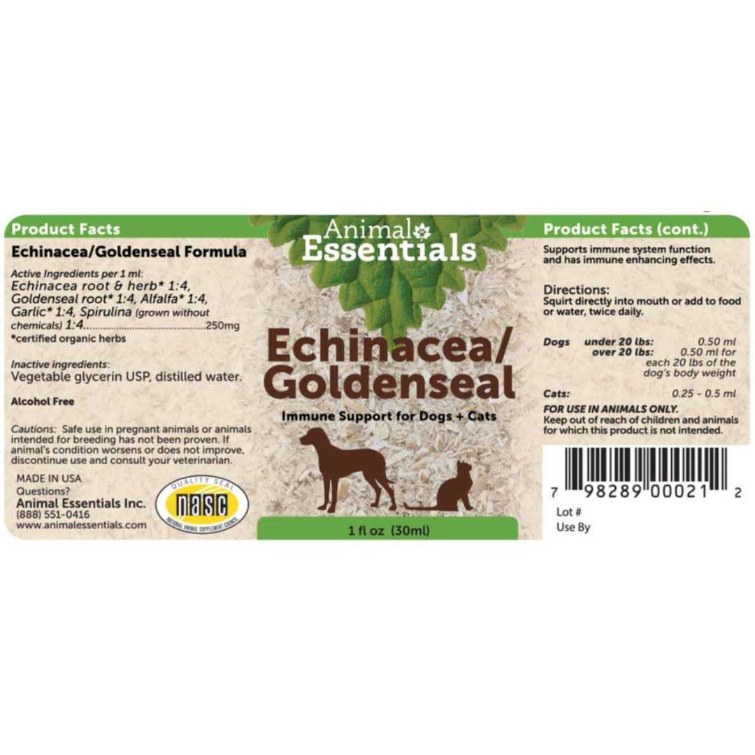 Echinacea Goldenseal G847