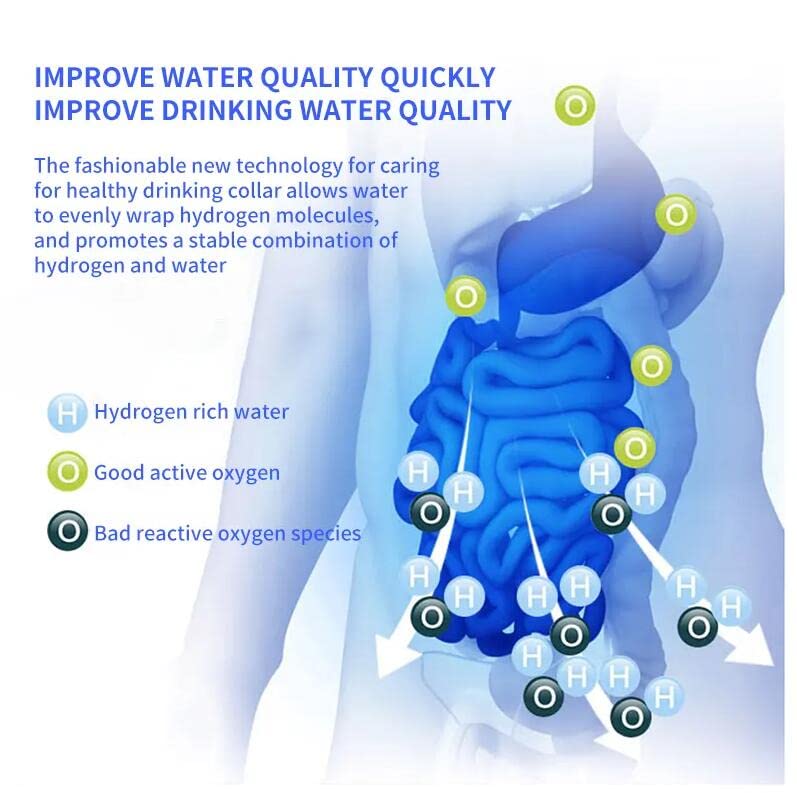 Portable Hydrogen Water Generator with PEM and SPE Technology B450