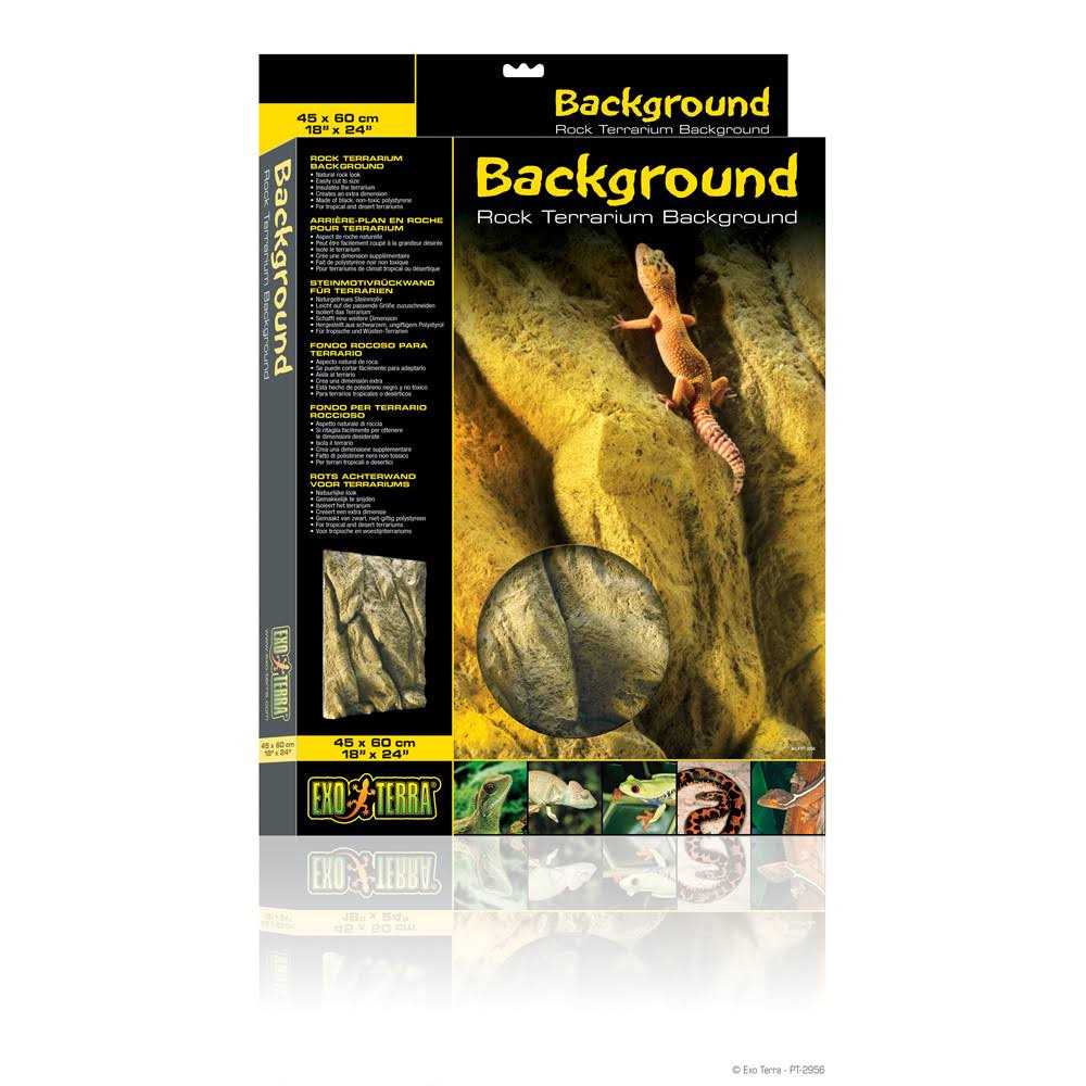 Rock Terrarium Background Q5892