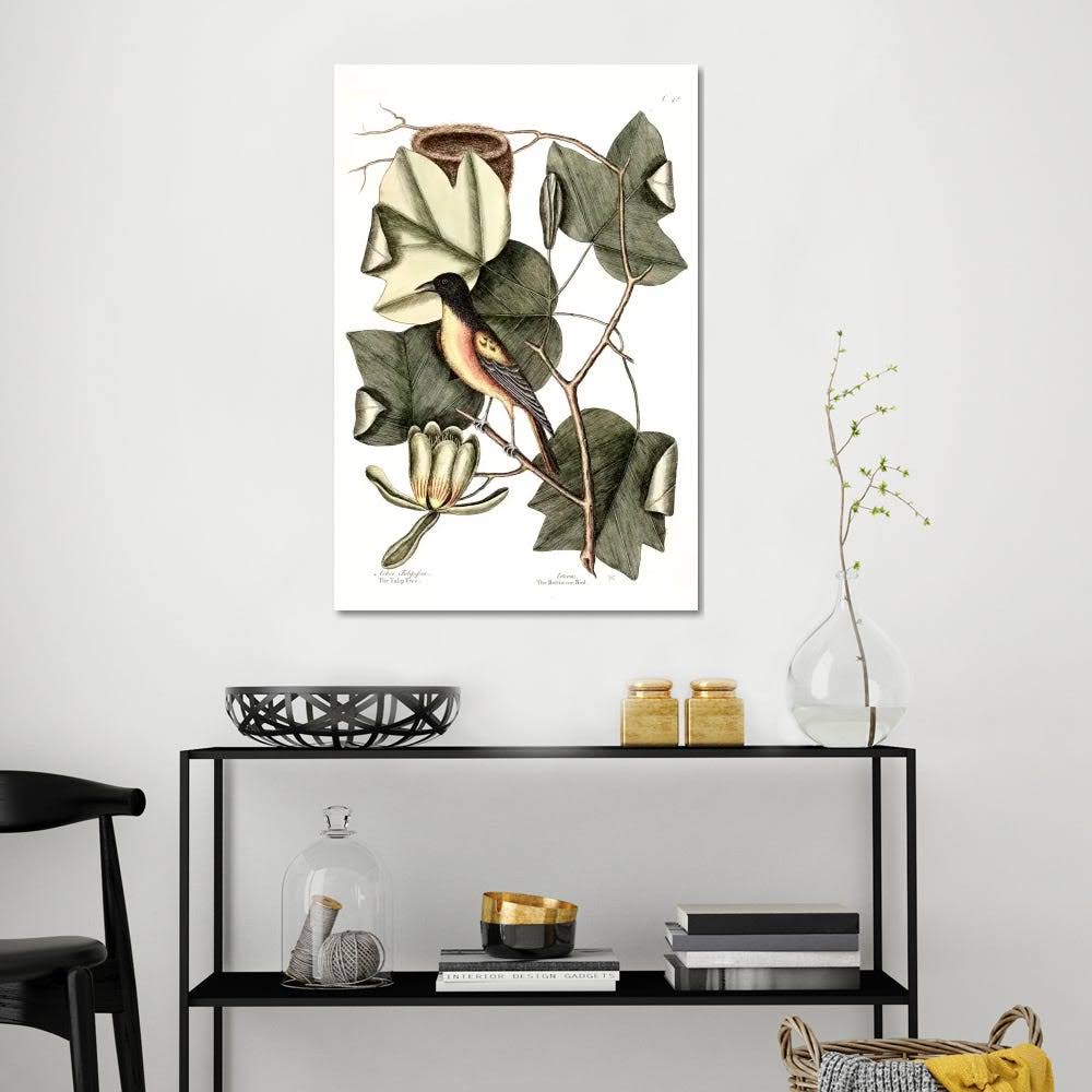 Canvas Wall Decor Prints - Baltimore Bird u0026 Tulip Poplar O3324