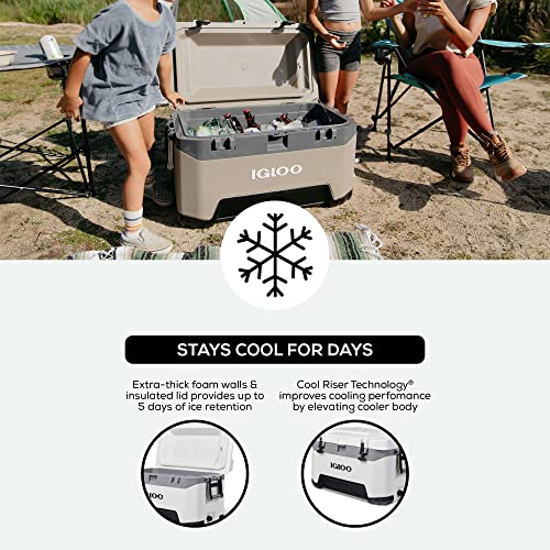 Hard Coolers 25-72QT R115