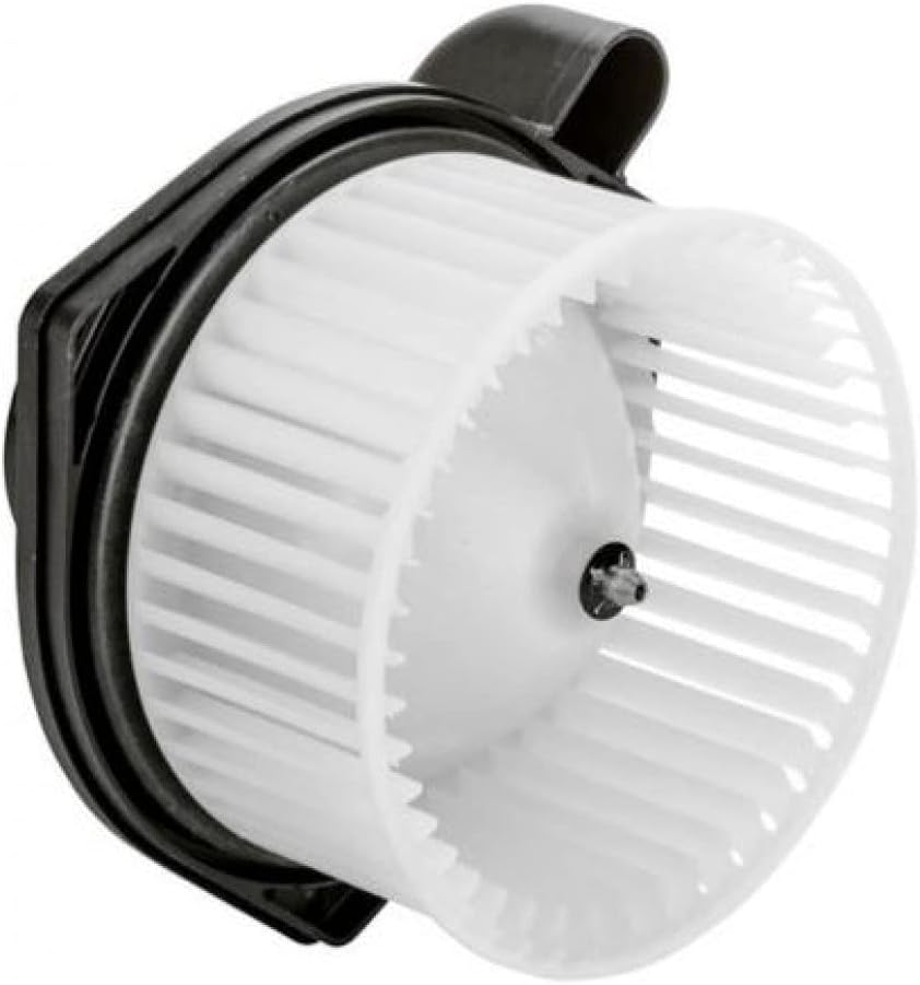 Blower Motor Assembly M611