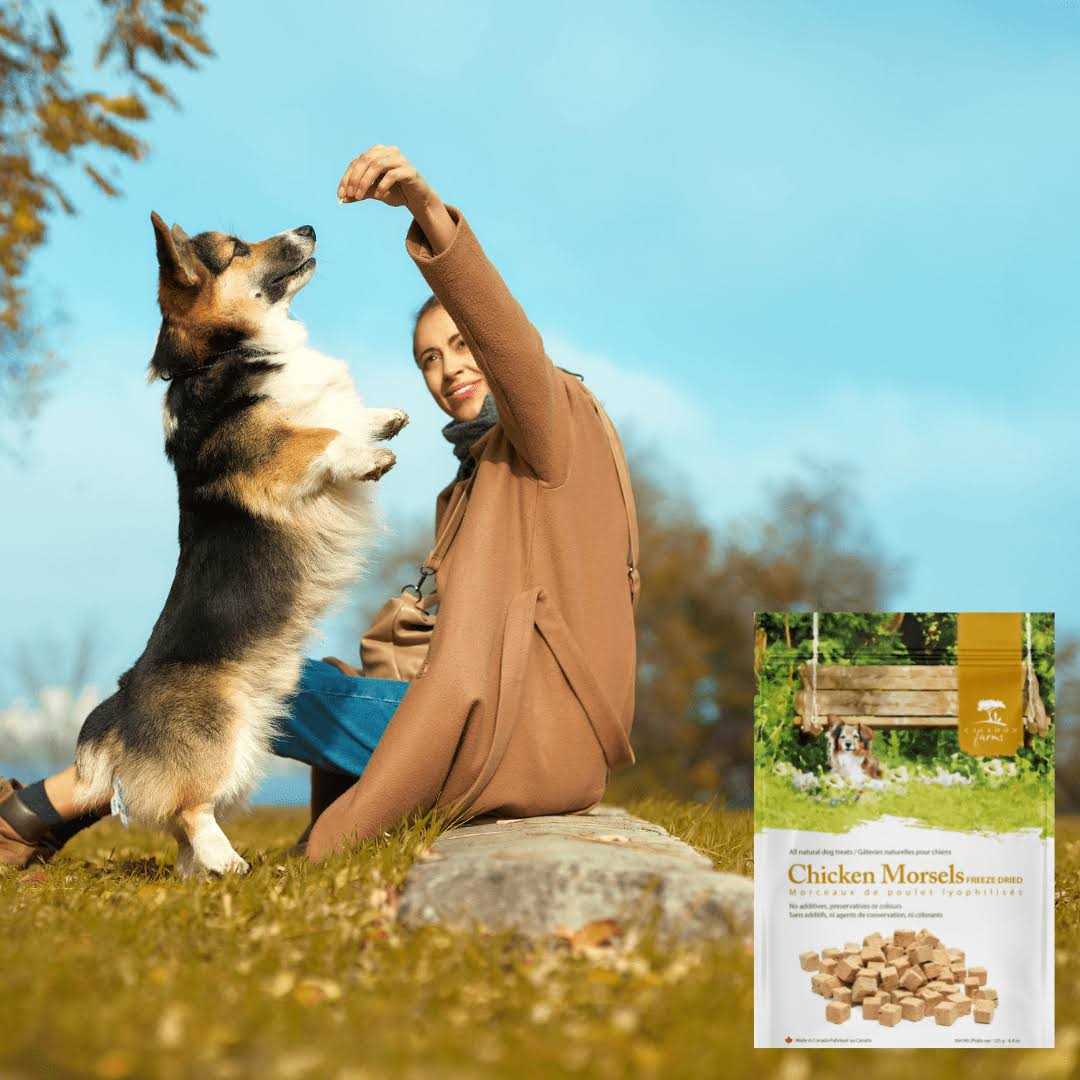 Chicken Morsels Dog Treats C93241