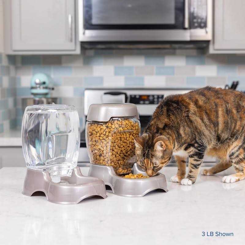 Pet Feeder T130166