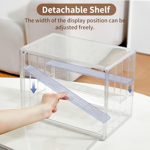 Acrylic 3 Layer Adjustable Display Case with Magnetic Door 2Pack G8013