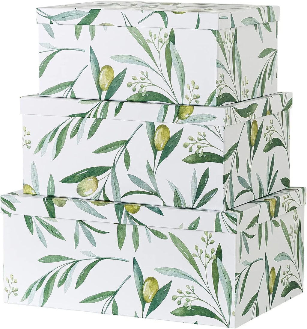 Decorative Storage Cardboard Boxes with Lids, Set of 3 C825