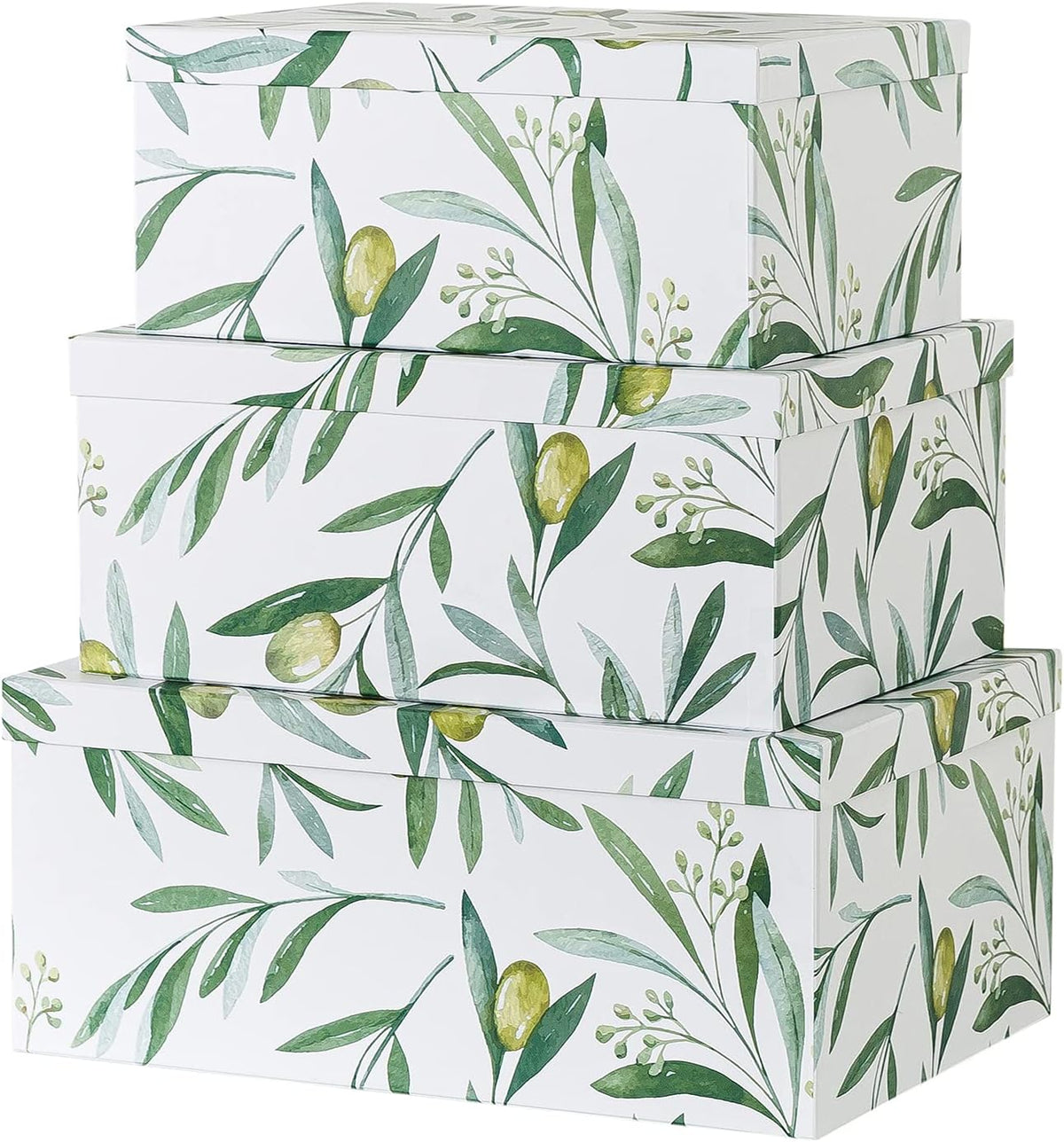 Decorative Storage Cardboard Boxes with Lids, Set of 3 C825