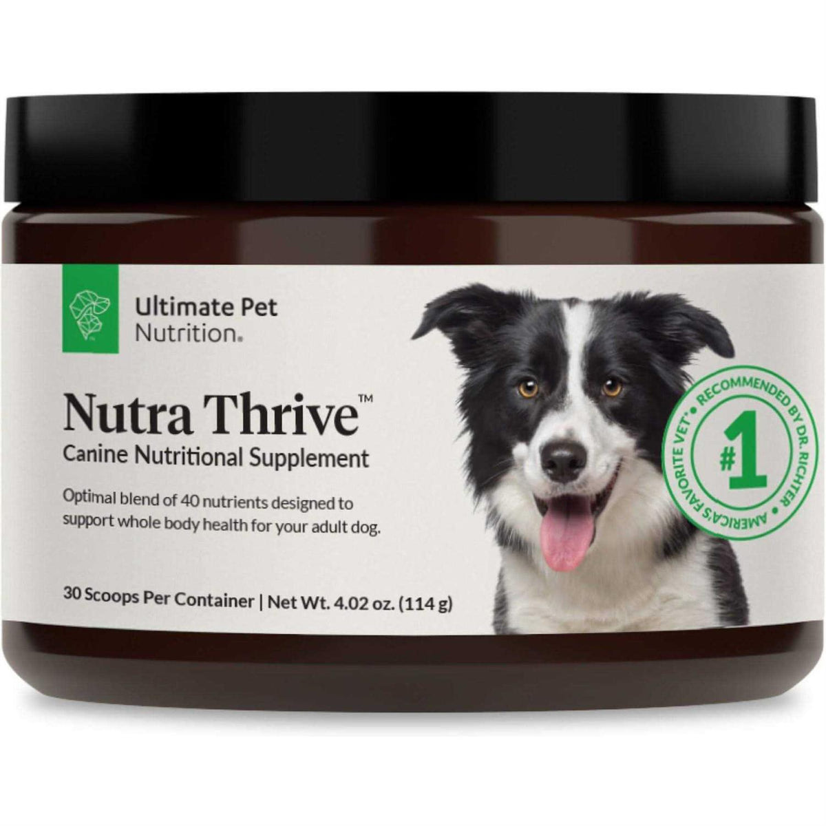 40-in-1 Multivitamin Powder Supplement for Dogs R50776