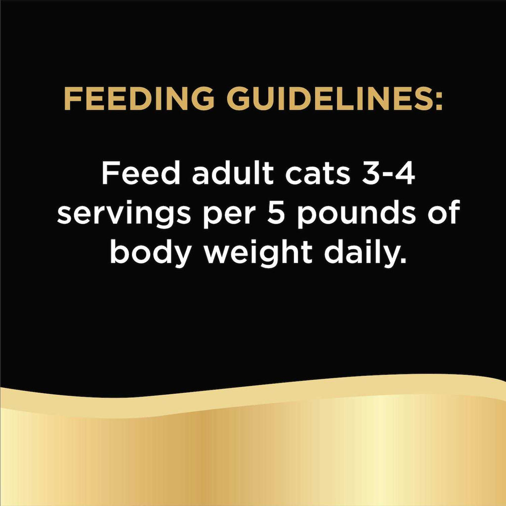 Chicken in Alfredo Sauce Wet Cat Food H7447