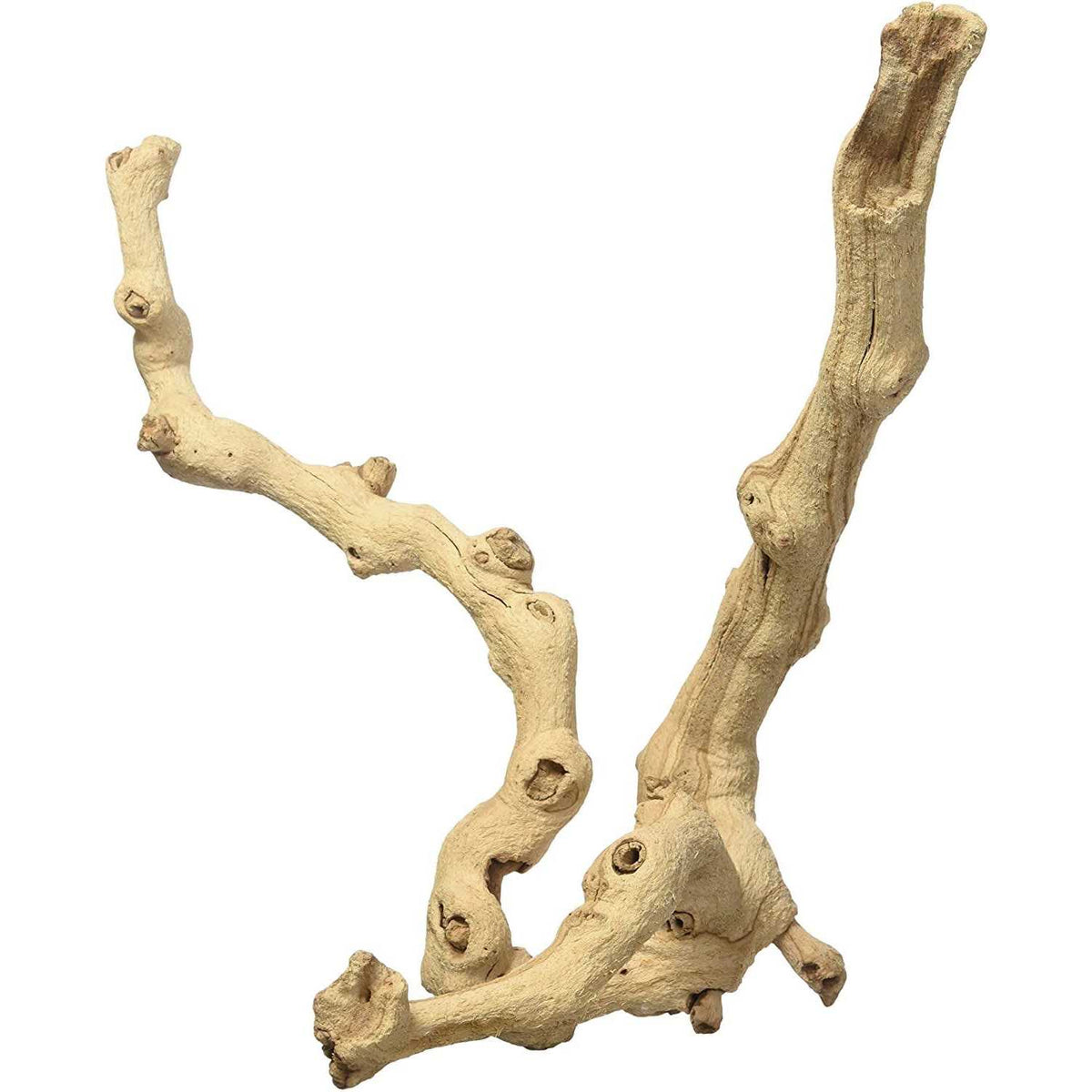 Sand Blasted Grape Vine D32410
