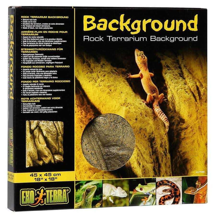 Rock Terrarium Background Q5892