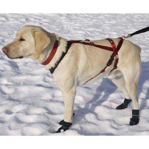 Harness Y931