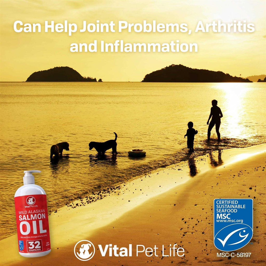 Salmon Oil for Dogs & Cats C725730