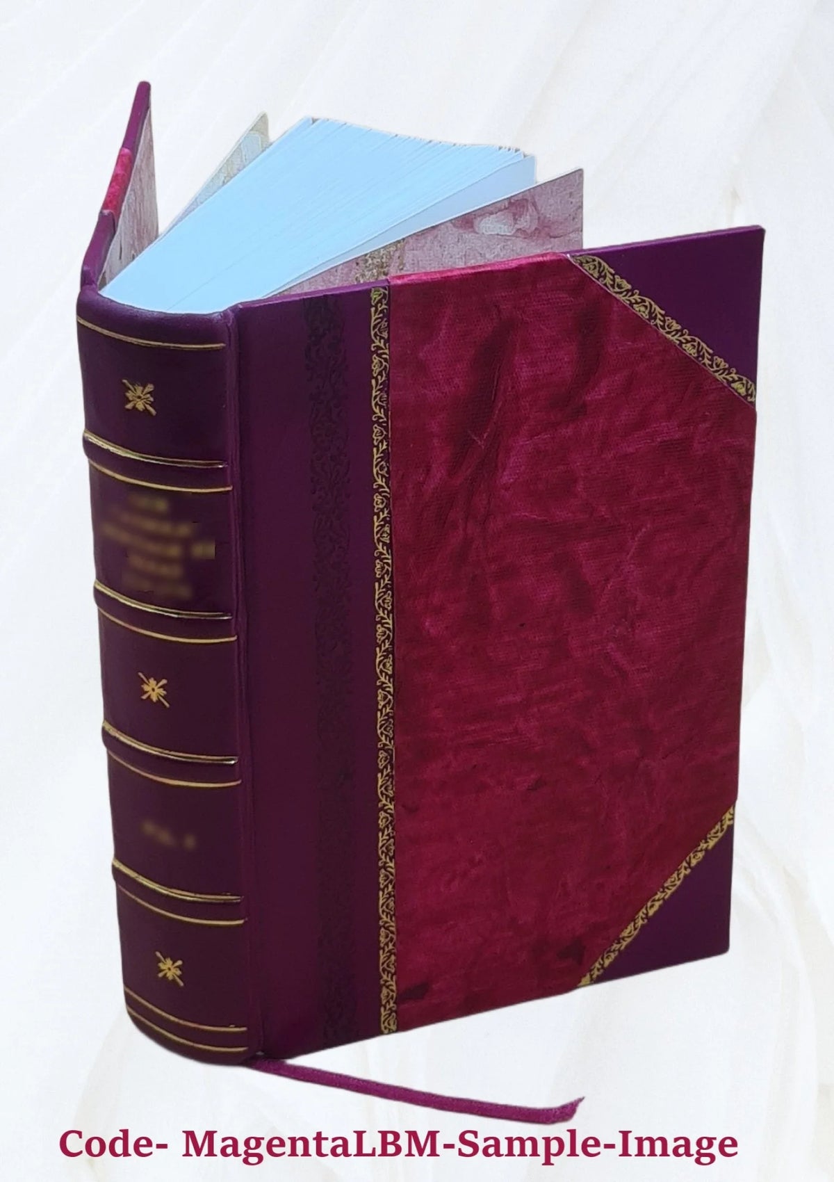 Records of the governor and company of the Massachusetts bay in New England Leather Bound M722