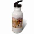 21 oz Sports Water Bottle G287